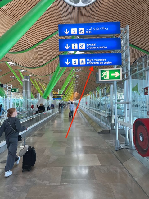 Madrid Terminal 4S arrival hall - 2